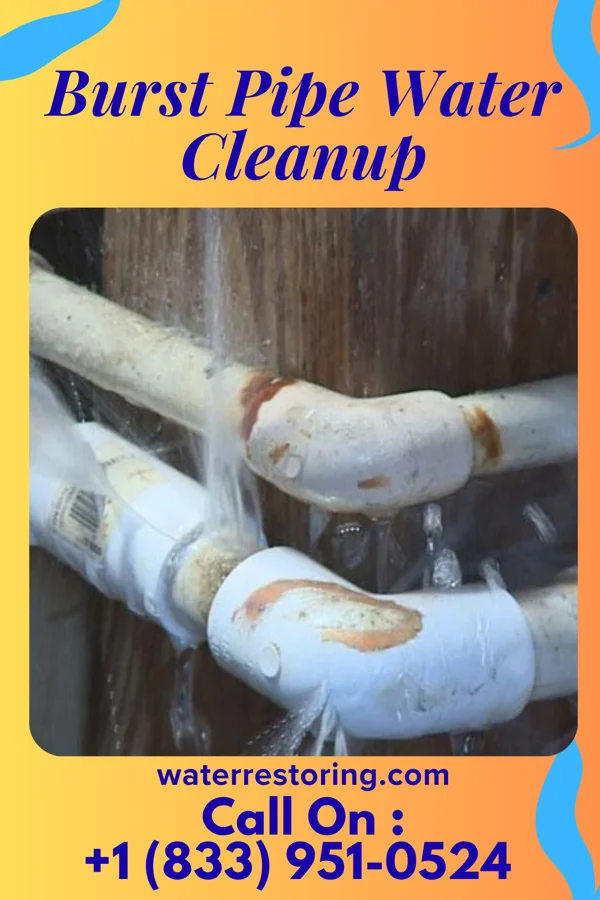 Burst Pipe Water Cleanup in Middletown, PA