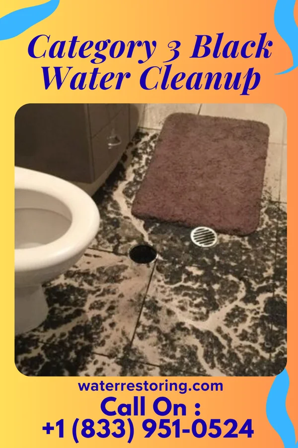 Category 3 Black Water Cleanup in Middletown, PA