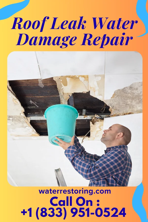Roof Leak Water Damage Repair in Middletown, PA