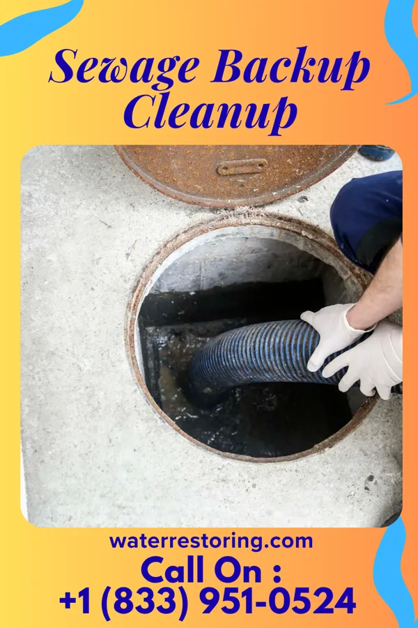 Sewage Backup Cleanup in Middletown, PA